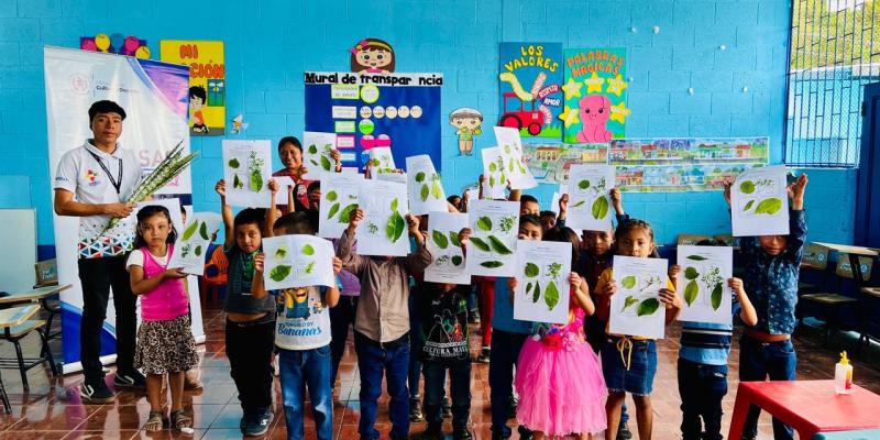 Plantas medicinales Camotán