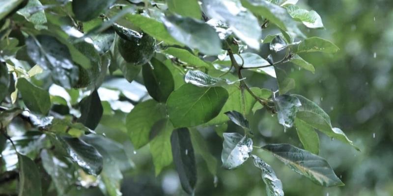 Mantienen vigilancia en 151 municipios ante pronóstico del fin de semana