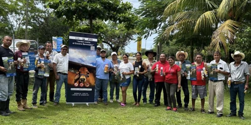 Guatemala refuerza control sanitario para frenar avance del Gusano Barrenador