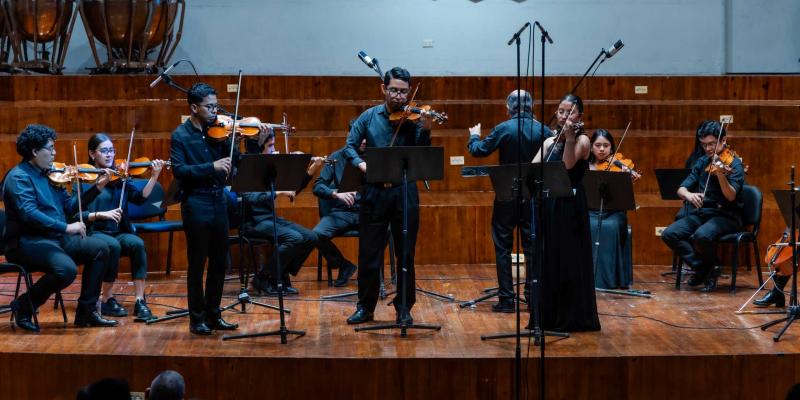 Camerata y Solistas, concierto de la Orquesta Sinfónica Nacional