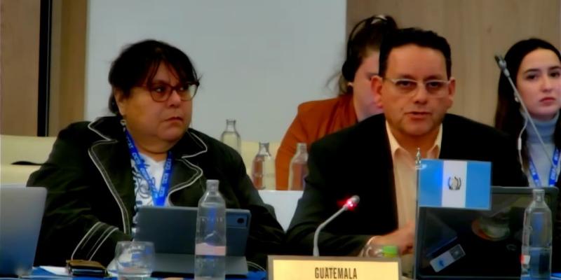 Guatemala reafirma en España que la pesca de tortugas está prohibida en el país