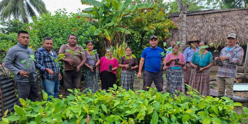 Entrega de plantas fortalece sistemas silvopastoriles en Petén