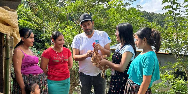 Fortalece la producción avícola con asistencia técnica en Poptún