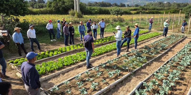 Fortalecen alianzas para mejorar la formación agropecuaria 