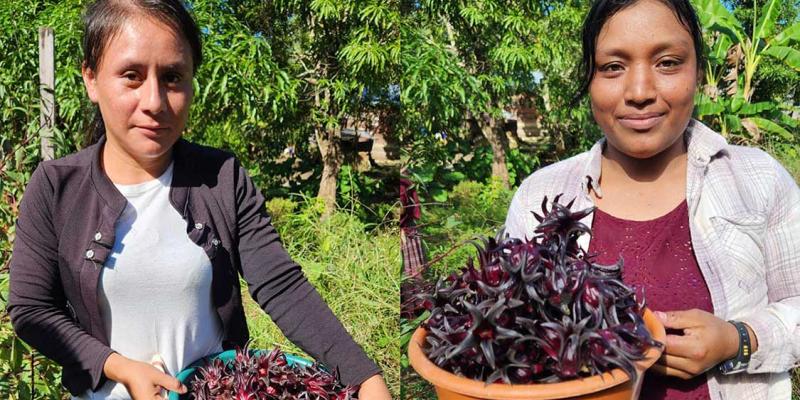 Fortalecen capacidades juveniles el desarrollo rural sostenible en Alta Verapaz