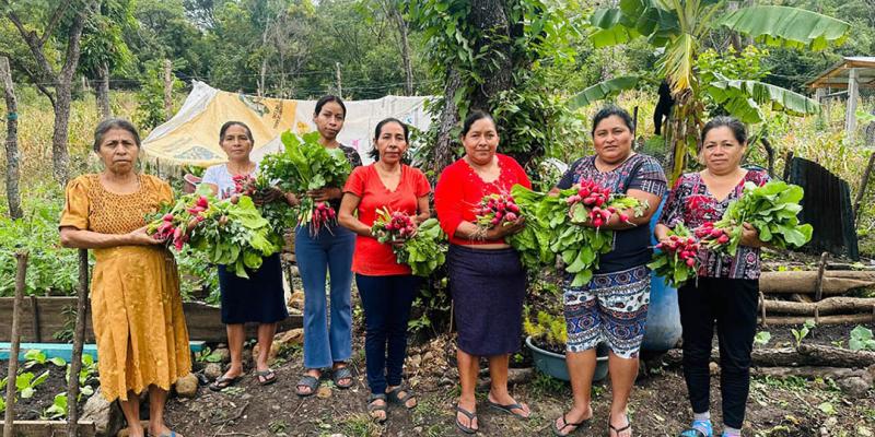 Impulsan producción hortícola de CADER en Chiquimula 