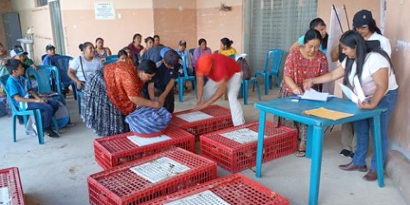 Mujeres emprenden desde sus comunidades