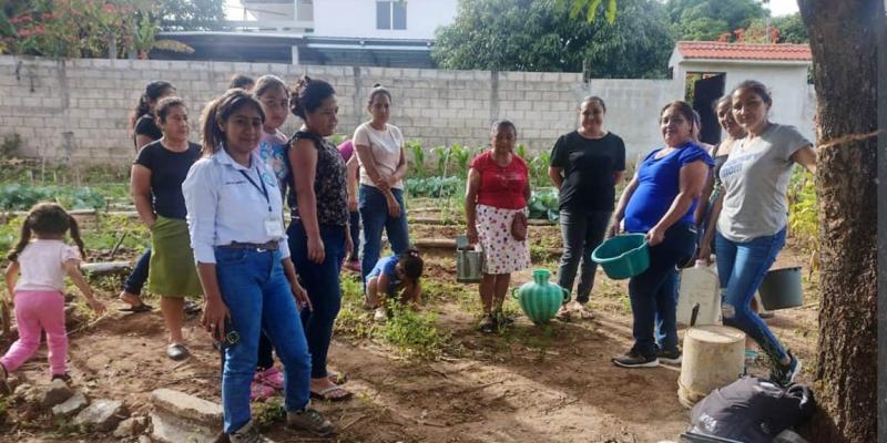 Promueven huertos familiares y el bienestar de agricultores en Santa Rosa