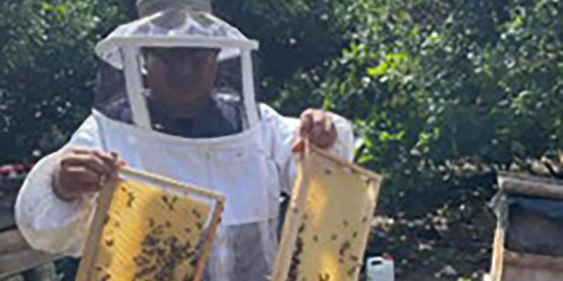 Realizan manejo técnico de colmenas en Sacatepéquez