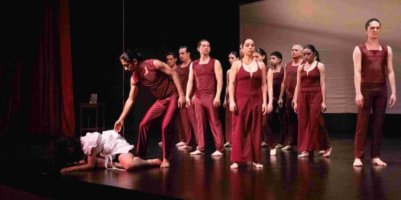 “Una mariposa en la ventana”