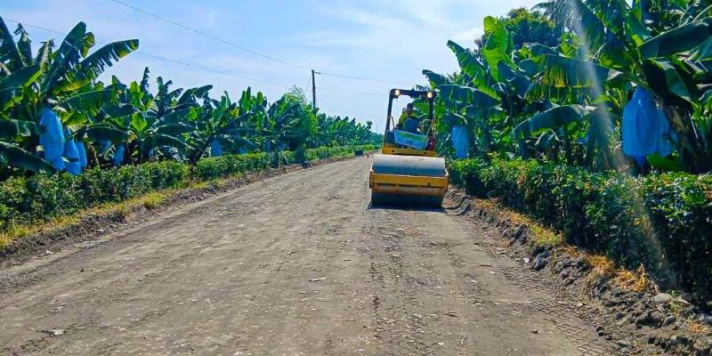 Conforman ruta de terracería entre Las Cruces y aldea Bolivia para mejorar la conectividad en la costa sur