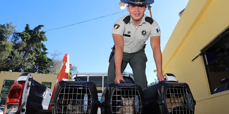 Provial impulsa el bienestar animal con apoyo de la Unidad de Bienestar Animal del MAGA