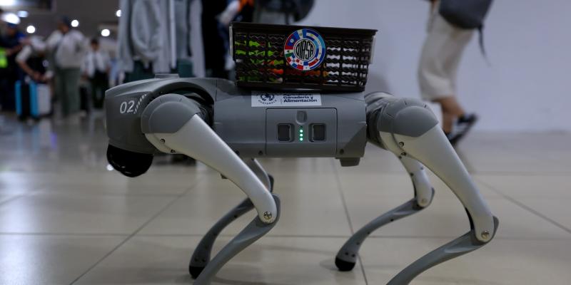 Esta tecnología fue presentada por el Ministerio de Agricultura, Ganadería y Alimentación (MAGA), que destacó su incorporación como parte del proceso de modernización de los mecanismos de vigilancia sanitaria en puntos fronterizos. Desde su ubicación estratégica en la terminal aérea, SAICA contribuye a prevenir la entrada de plagas y enfermedades que podrían afectar la producción nacional.