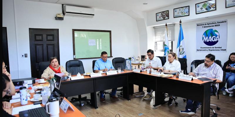 Concluye verificación para renovar licencia de exportación de camarón hacia México