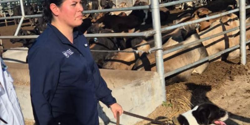 Ministra Rivera Dávila supervisa uso de binomios caninos para detectar Gusano Barrenador en Petén