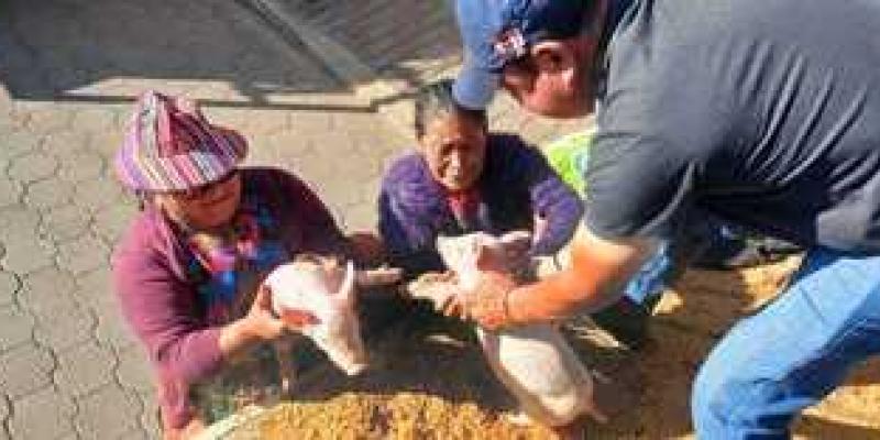 Impulsan el fortalecimiento de la producción pecuaria y acuícola en el país