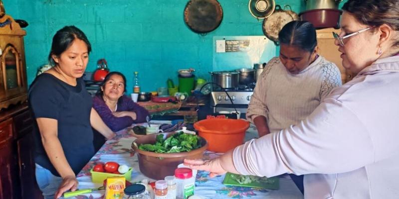 Insumos de huertos familiares contribuyen con la seguridad alimentaria