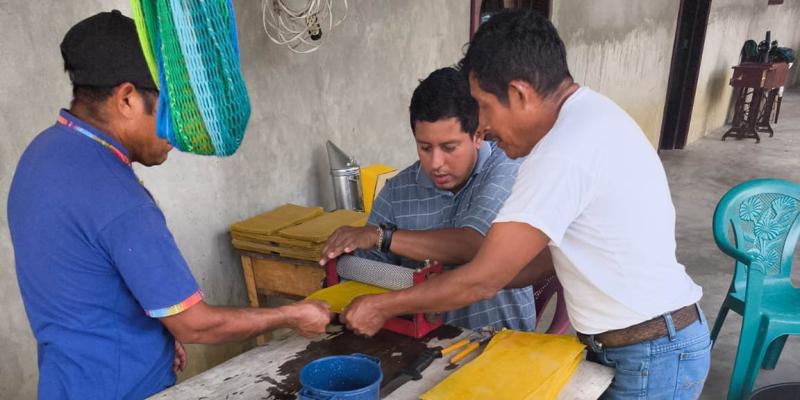 Apicultores de Sayaxché reciben asistencia técnica
