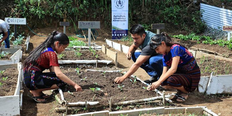 Beneficiadas más de 78 mil familias de municipios priorizados por iniciativa “Mano a Mano”