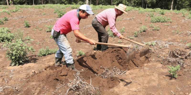 Ingreso de nuevo frente frío podría provocar lluvias y descenso de temperaturas