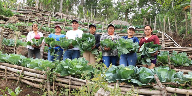 Día del Sector Público Agrícola Extensión rural clave para el desarrollo agropecuario