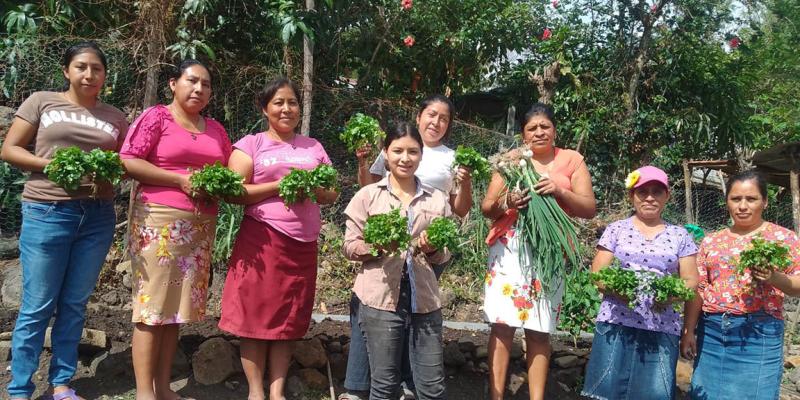 Familias zacapanecas obtienen cosechas e ingresos por huertos familiares