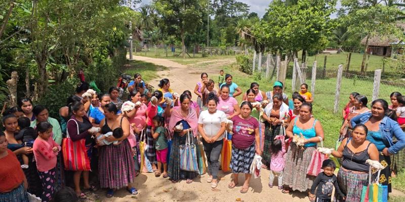 Más 6 mil aves mejoradas benefician a familias rurales de Petén