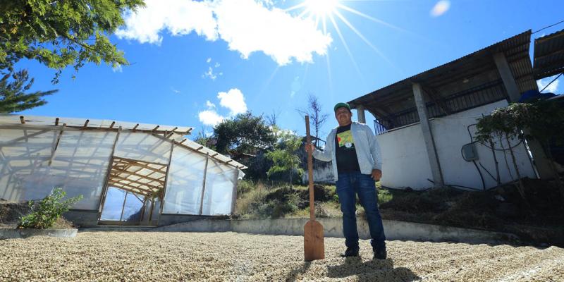 Pequeños productores de café acceden a financiamiento de más de Q13 millones