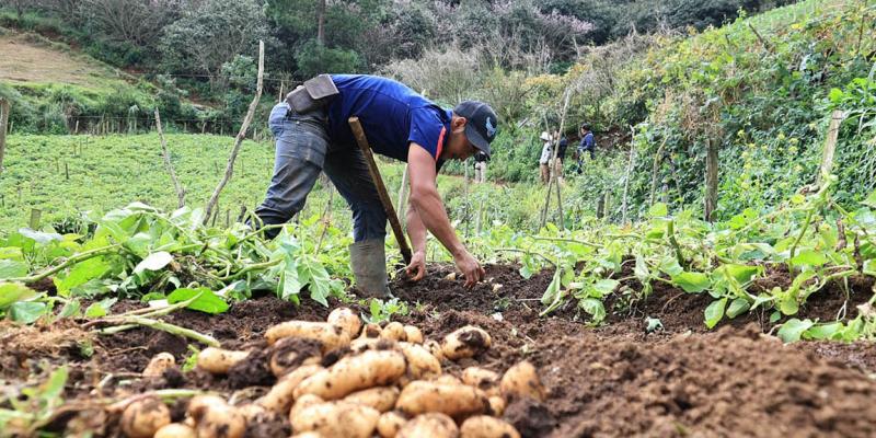 Persisten las lluvias y el riesgo de heladas en 17 departamentos