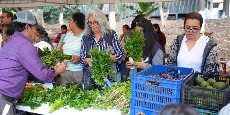 Villa Nueva se llena de sabor y frescura con la última Feria del Agricultor