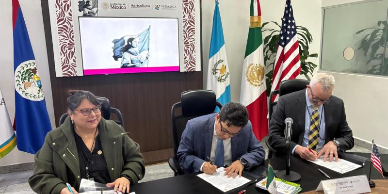 Aseguran plan regional 2026para el control de la mosca del Mediterráneo