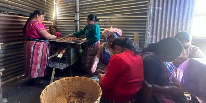 Asistencia técnica impulsa emprendimientos de cacao en Quetzaltenango