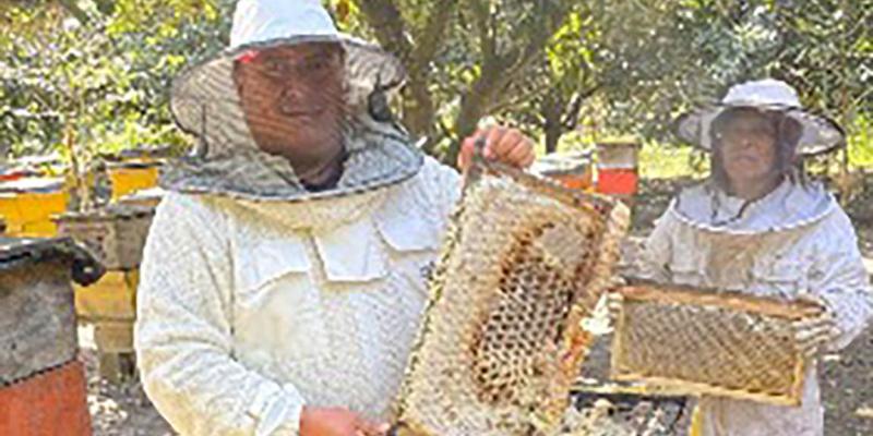 Asistencia técnica impulsa la producción de miel en Chimaltenango y San Marcos