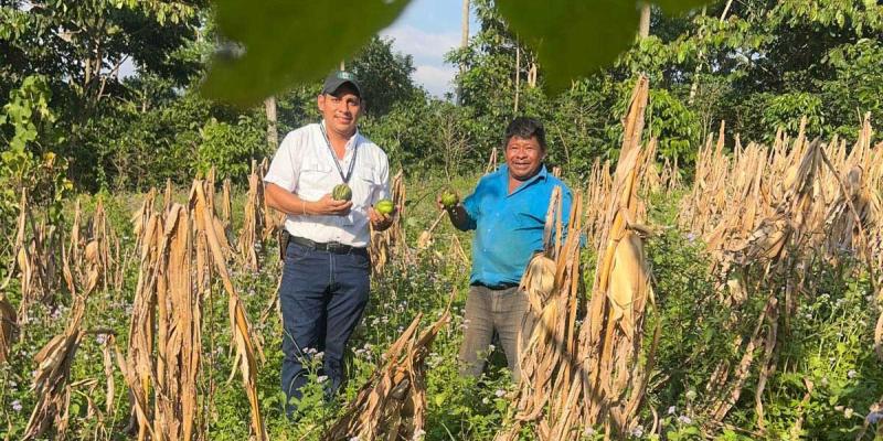 Brindan asistencia técnica a productores de Retalhuleu para fortalecer sus cultivos