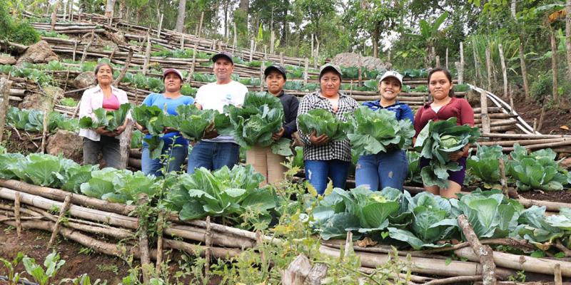 Conozca cómo acceder a los servicios de apoyo y desarrollo rural del MAGA