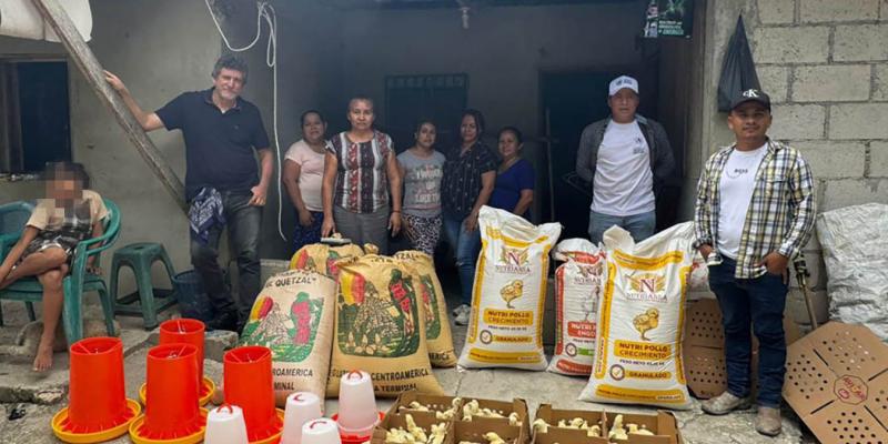 Distribuidos más 14 mil pollos de engorde en granjas de Petén