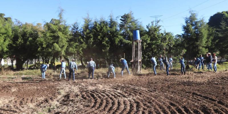 Forman a futuros profesionales del agro en temas de hortalizas en campo abierto
