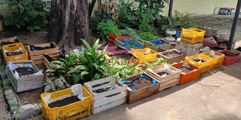 La alternativa sostenible para producir alimentos en casa son los huertos urbanos