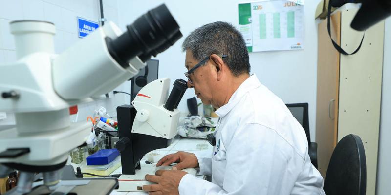 Más de 11 mil análisis fortalecen la vigilancia fitosanitaria en el país