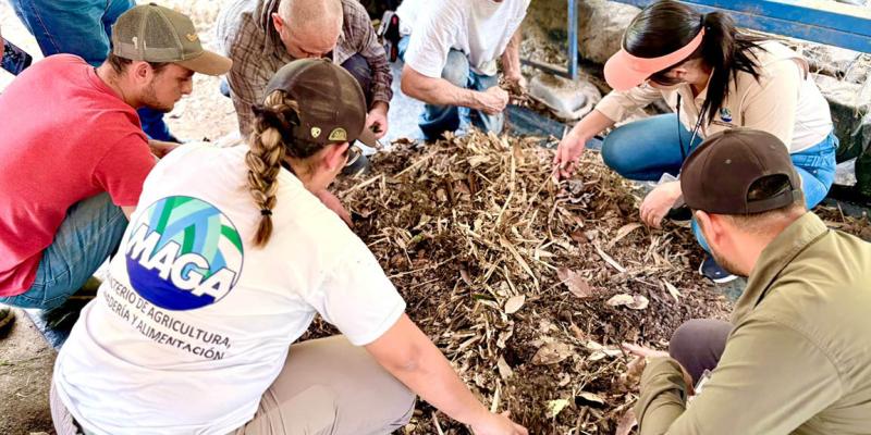 Mejoran rendimiento de cultivos con agricultura sostenible
