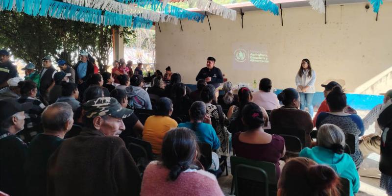 Productores de San Miguel Petapa se organizan para crecer