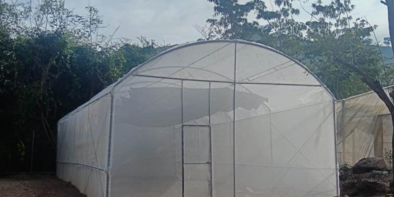 Proyecto de piloneras fortalecerá la economía local de Chiquimula