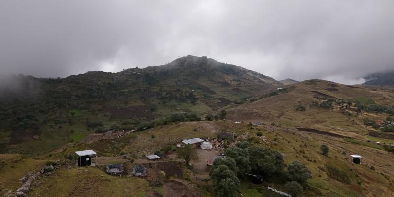 Recomendaciones para el sector agropecuario ante vientos y descenso de temperatura  