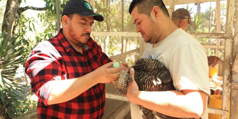Recomendaciones para la protección pecuaria por las bajas temperaturas