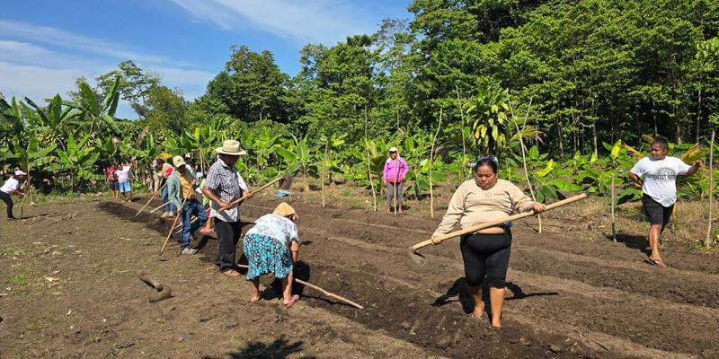Sembrando salud desde un huerto de Santa Lucía Cotzumalguapa