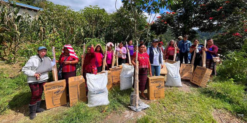 Sistema patio fortalece la producción y el autoconsumo de más de 51 mil pequeños agricultores