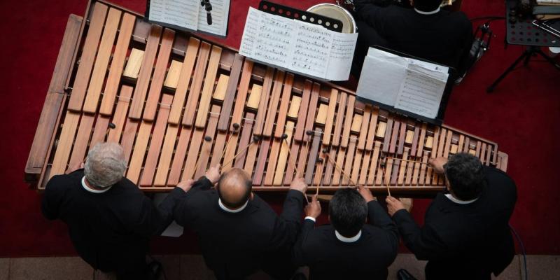 Febrero: celebramos nuestro instrumento nacional con una serie de conciertos