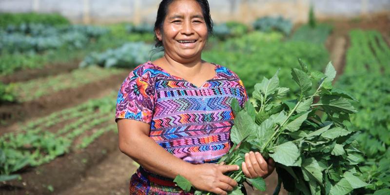 Plantas nativas: base de la agricultura familiar y la seguridad alimentaria