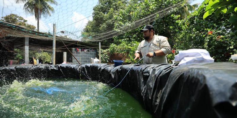 Apoyo técnico de extensionistas: clave para promover la piscicultura