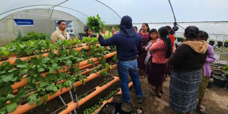 CADER: espacios de aprendizaje que transforman el campo guatemalteco